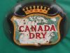 Canada Dry, water water everywhere but not a drop to drink