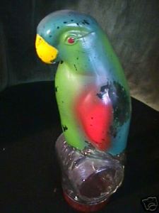 Parot from South America